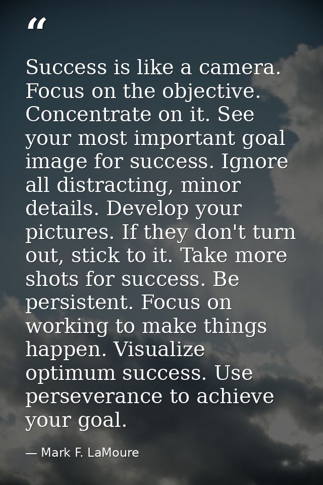 Success is like a camera. Focus on the objective. Concentrate on it. See your most important goal image for success. Ign — Mark F. LaMoure