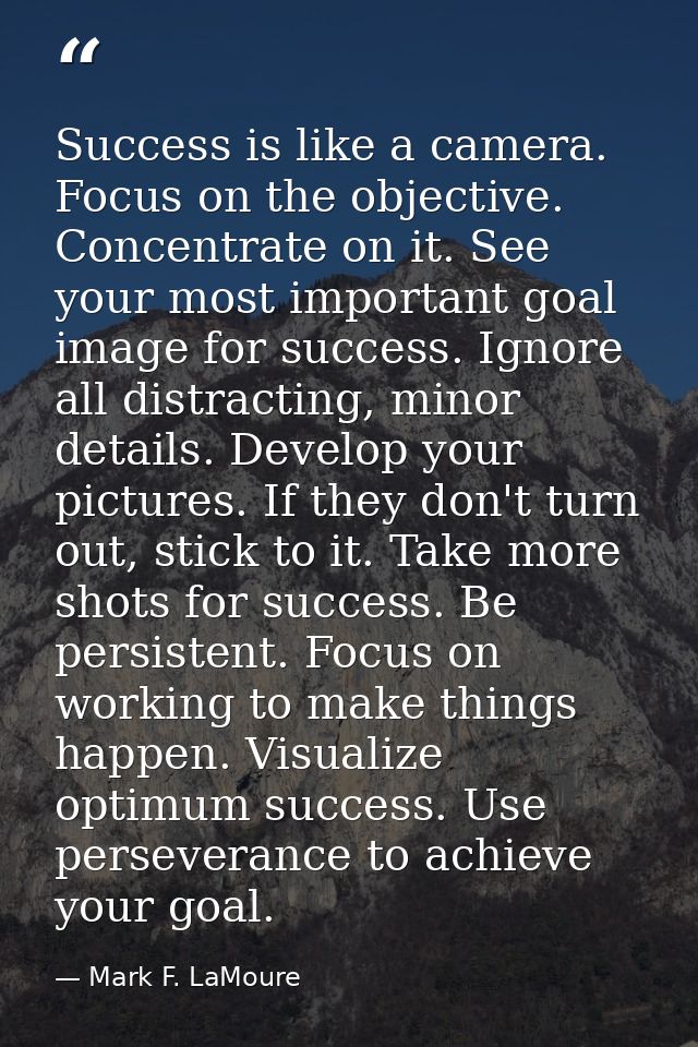 Success is like a camera. Focus on the objective. Concentrate on it. See your most important goal image for success. Ign — Mark F. LaMoure