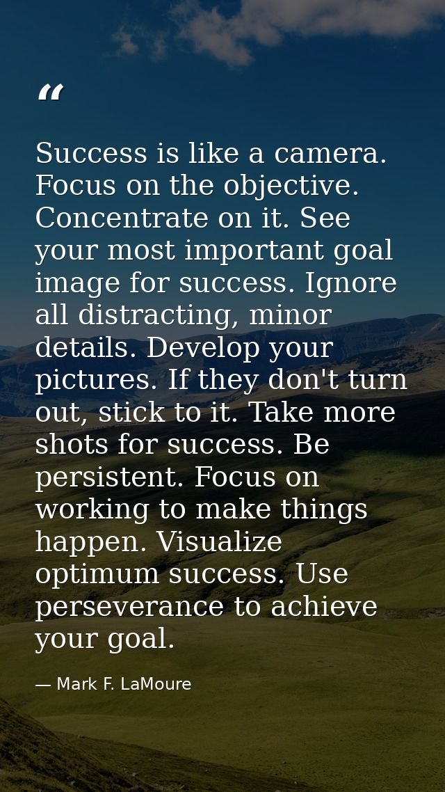 Success is like a camera. Focus on the objective. Concentrate on it. See your most important goal image for success. Ign — Mark F. LaMoure