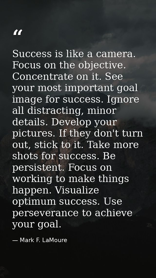 Success is like a camera. Focus on the objective. Concentrate on it. See your most important goal image for success. Ign — Mark F. LaMoure
