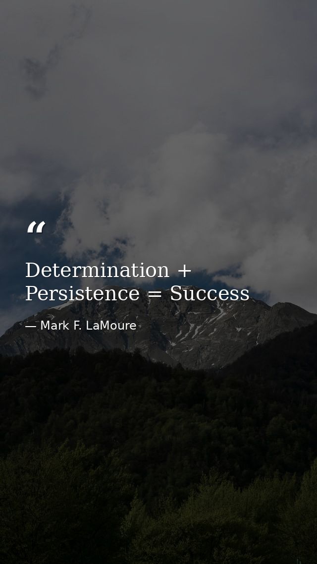 Determination + Persistence = Success — Mark F. LaMoure