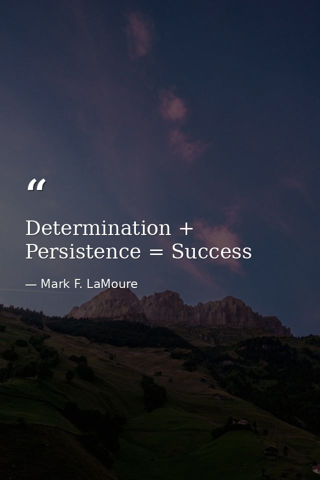 Determination + Persistence = Success — Mark F. LaMoure