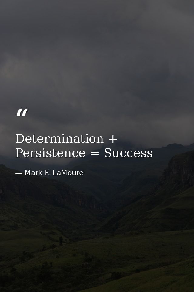 Determination + Persistence = Success — Mark F. LaMoure