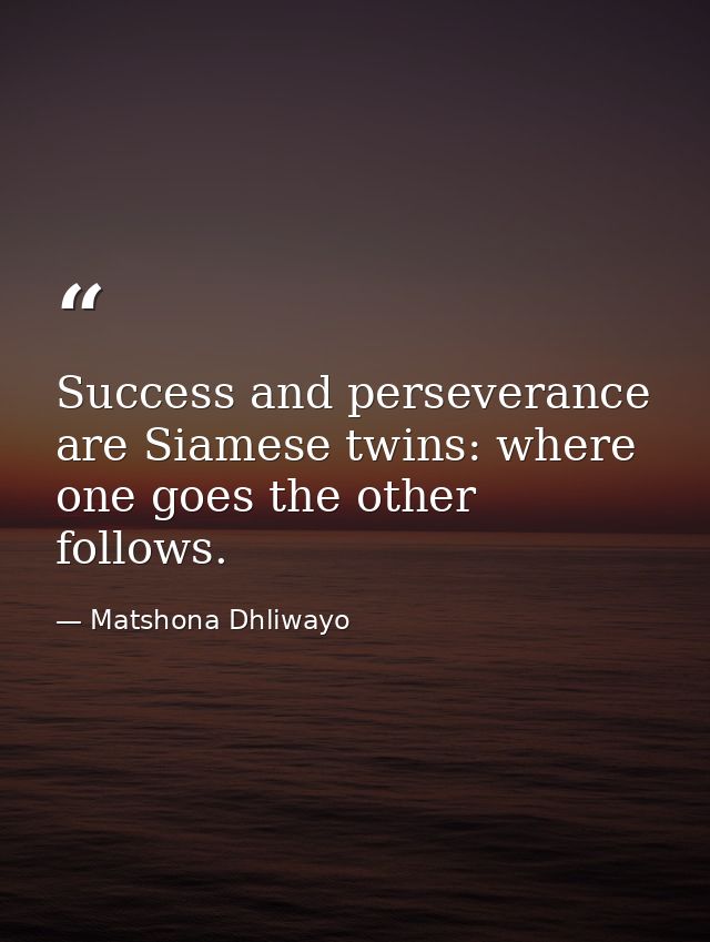 Success and perseverance are Siamese twins: where one goes the other follows. — Matshona Dhliwayo