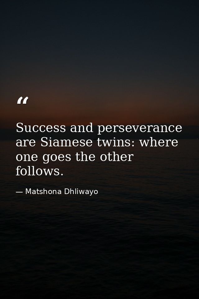 Success and perseverance are Siamese twins: where one goes the other follows. — Matshona Dhliwayo