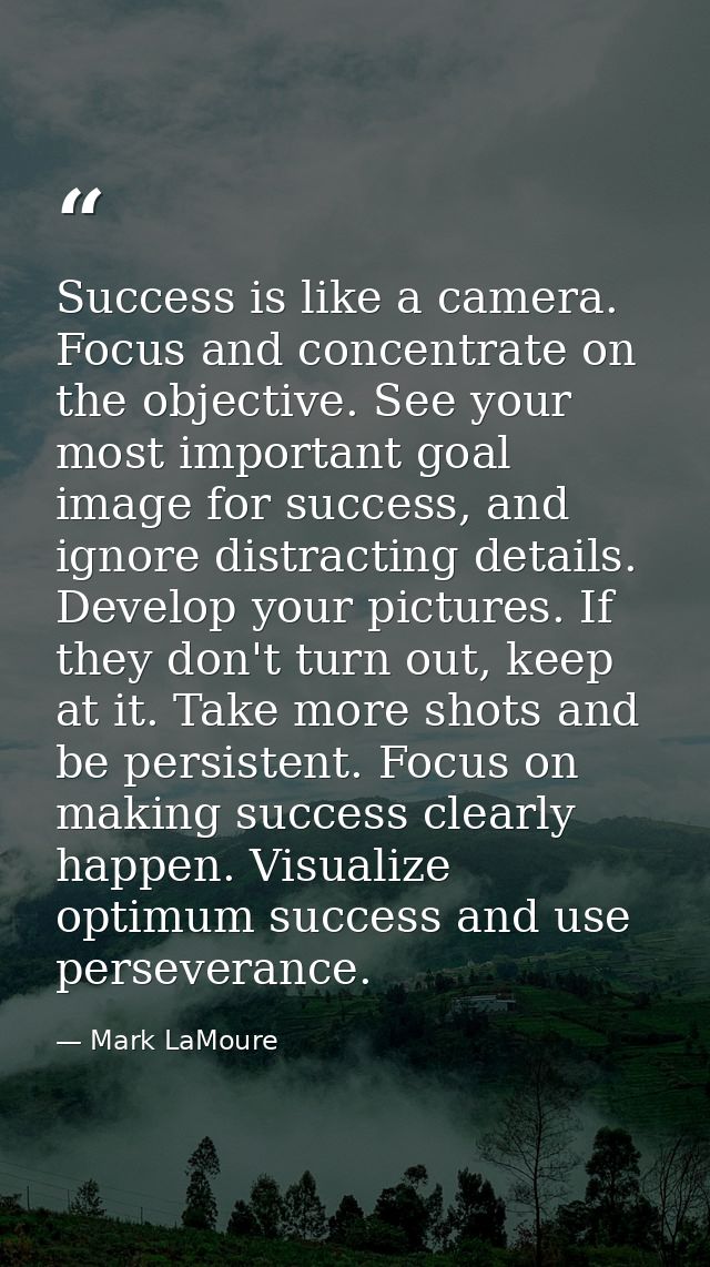 Success is like a camera. Focus and concentrate on the objective. See your most important goal image for success, and ig — Mark LaMoure