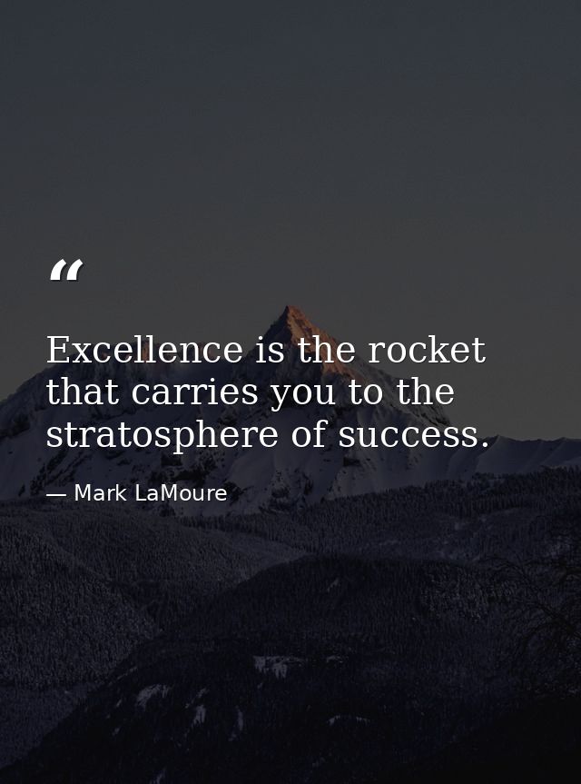 Excellence is the rocket that carries you to the stratosphere of success. — Mark LaMoure