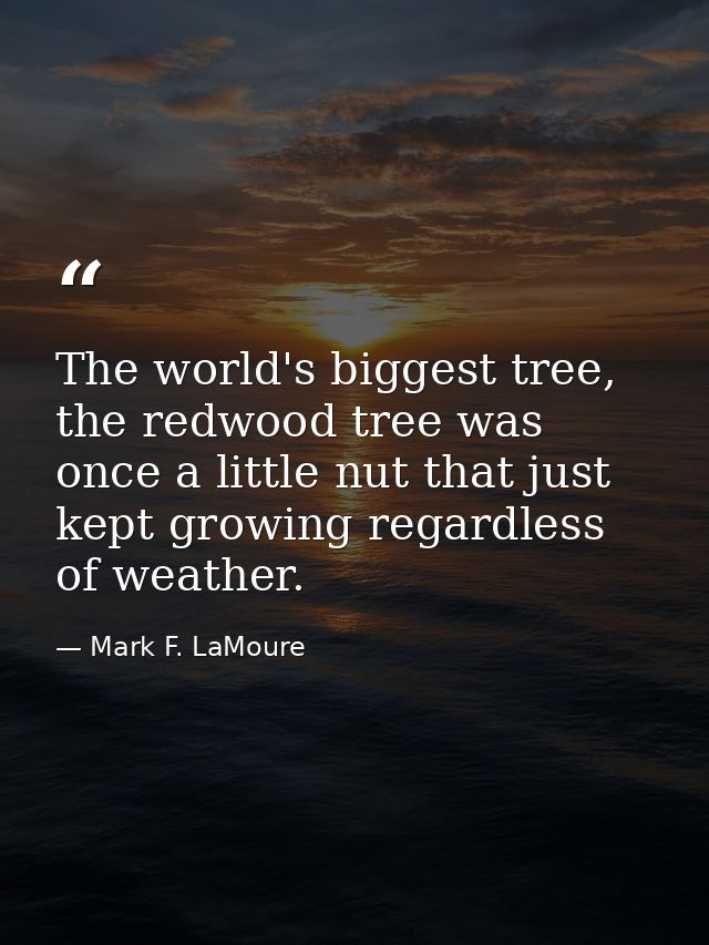The world's biggest tree, the redwood tree was once a little nut that just kept growing regardless of weather. — Mark F. LaMoure