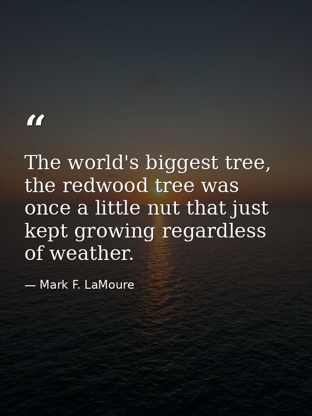The world's biggest tree, the redwood tree was once a little nut that just kept growing regardless of weather. — Mark F. LaMoure