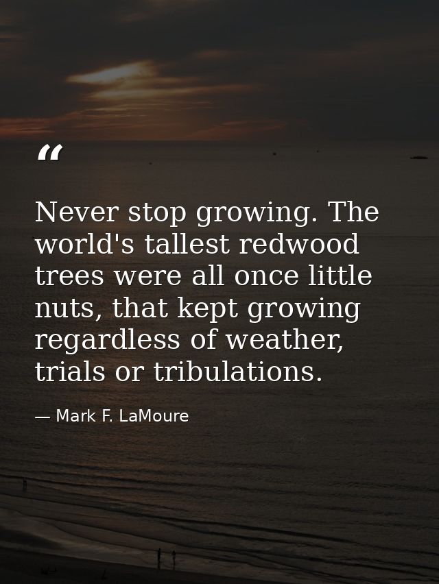 Never stop growing. The world's tallest redwood trees were all once little nuts, that kept growing regardless of weather — Mark F. LaMoure
