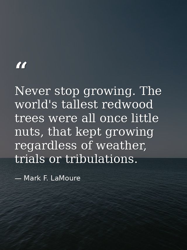 Never stop growing. The world's tallest redwood trees were all once little nuts, that kept growing regardless of weather — Mark F. LaMoure