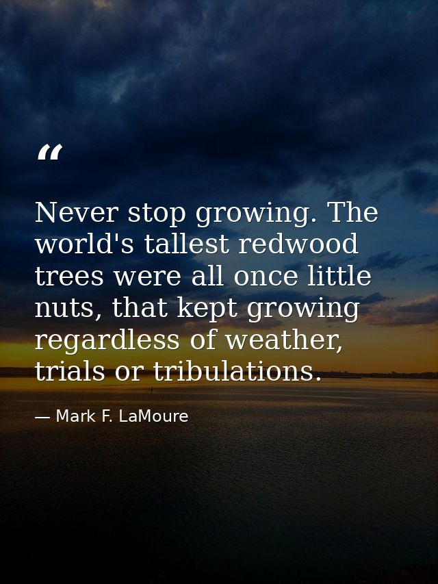 Never stop growing. The world's tallest redwood trees were all once little nuts, that kept growing regardless of weather — Mark F. LaMoure