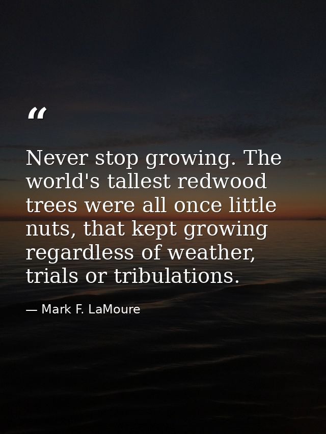 Never stop growing. The world's tallest redwood trees were all once little nuts, that kept growing regardless of weather — Mark F. LaMoure
