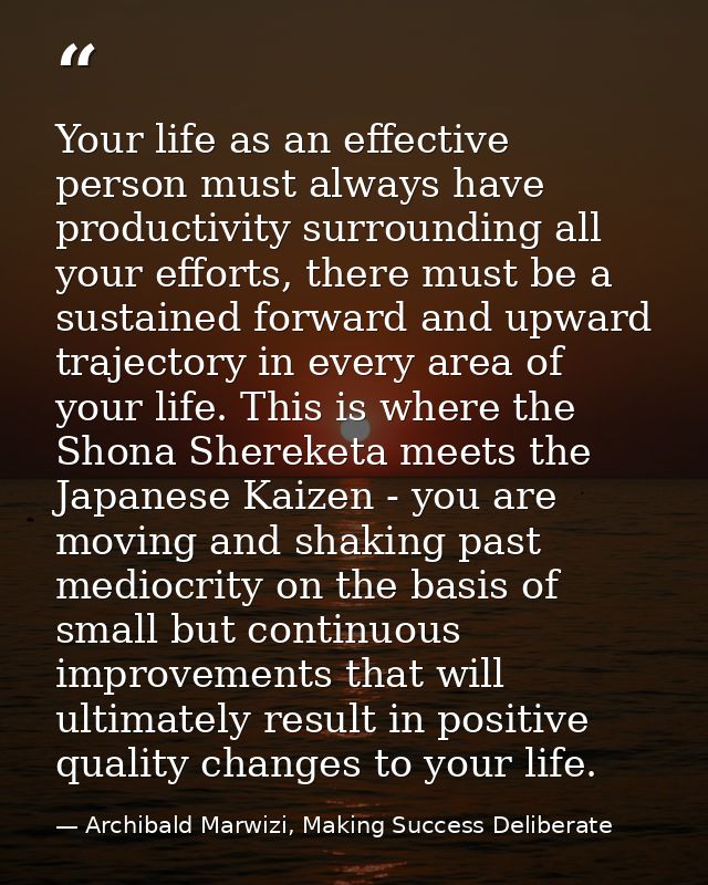 Your life as an effective person must always have productivity surrounding all your efforts, there must be a sustained f — Archibald Marwizi, Making Success Deliberate