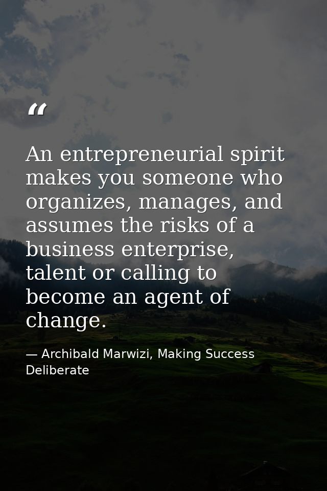 An entrepreneurial spirit makes you someone who organizes, manages, and assumes the risks of a business enterprise, tale — Archibald Marwizi, Making Success Deliberate