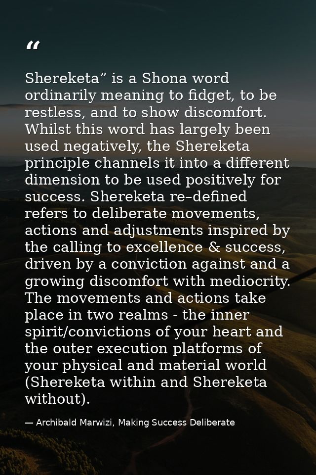 Shereketa” is a Shona word ordinarily meaning to fidget, to be restless, and to show discomfort. Whilst this word has la — Archibald Marwizi, Making Success Deliberate
