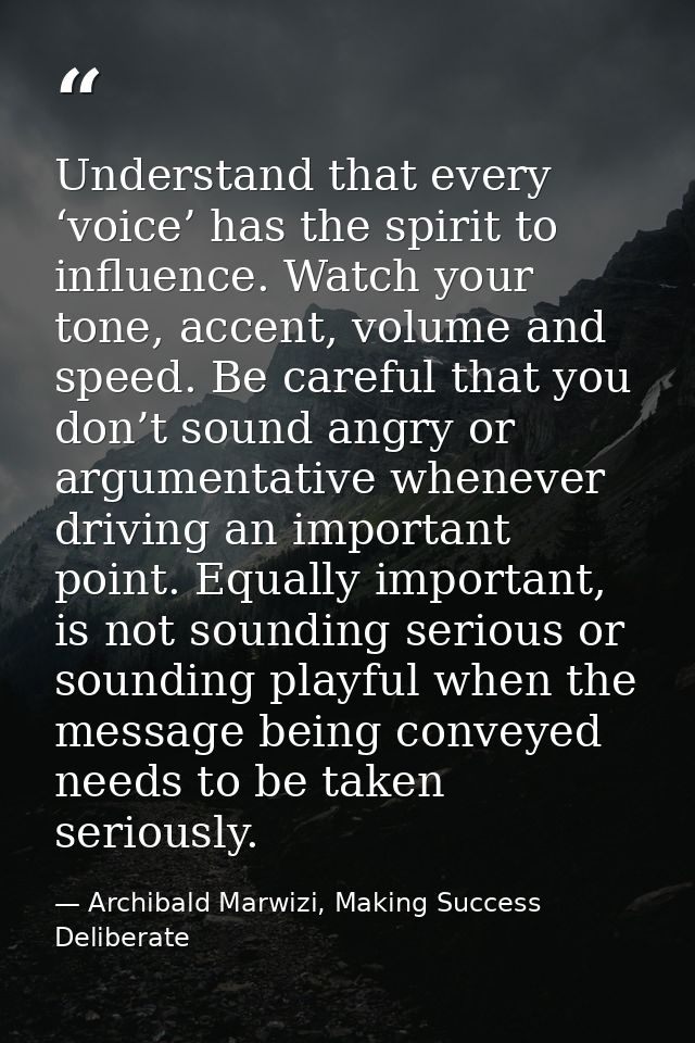 Understand that every ‘voice’ has the spirit to influence. Watch your tone, accent, volume and speed. Be careful that yo — Archibald Marwizi, Making Success Deliberate