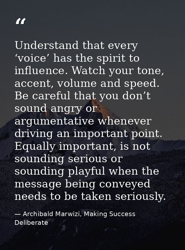 Understand that every ‘voice’ has the spirit to influence. Watch your tone, accent, volume and speed. Be careful that yo — Archibald Marwizi, Making Success Deliberate