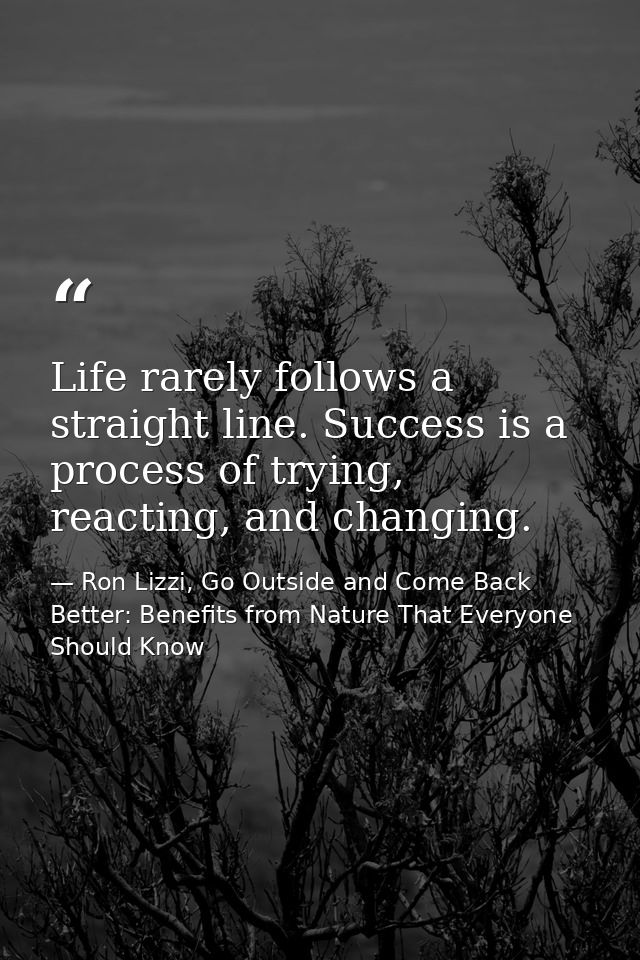 Life rarely follows a straight line. Success is a process of trying, reacting, and changing. — Ron Lizzi, Go Outside and Come Back Better: Benefits from Nature That Everyone Should Know