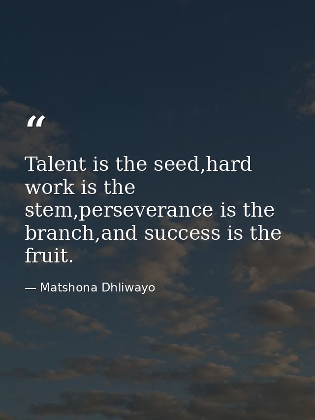 Talent is the seed,hard work is the stem,perseverance is the branch,and success is the fruit. — Matshona Dhliwayo