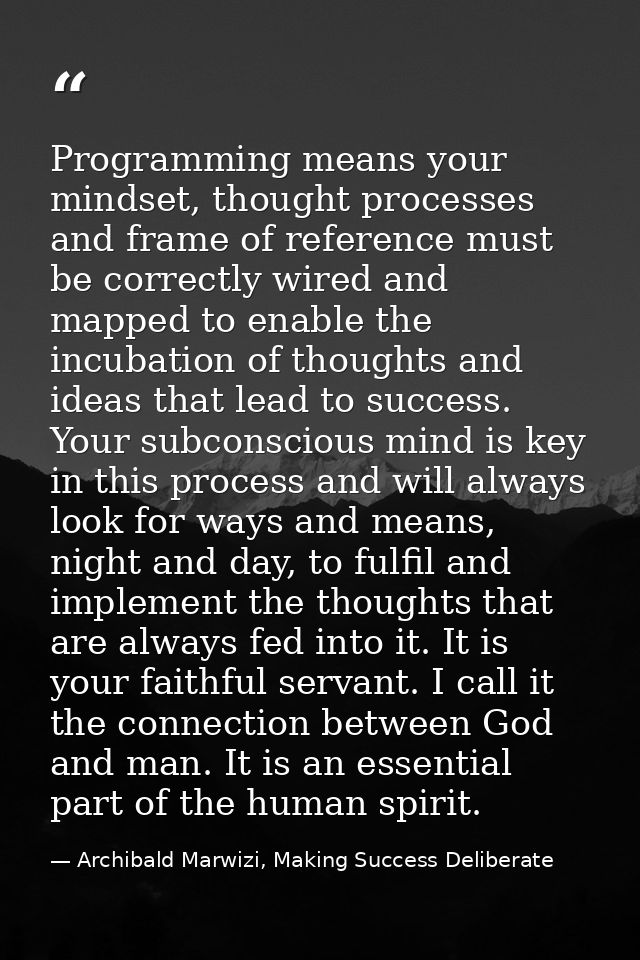 Programming means your mindset, thought processes and frame of reference must be correctly wired and mapped to enable th — Archibald Marwizi, Making Success Deliberate