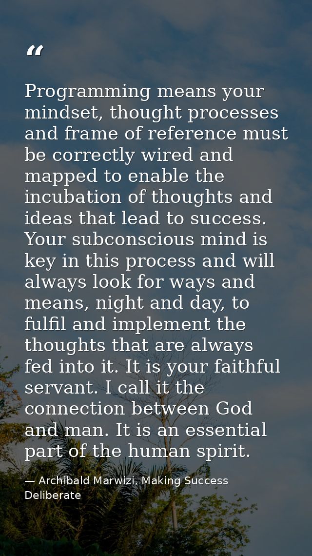 Programming means your mindset, thought processes and frame of reference must be correctly wired and mapped to enable th — Archibald Marwizi, Making Success Deliberate