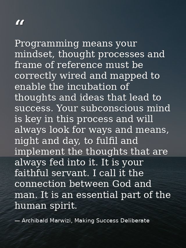 Programming means your mindset, thought processes and frame of reference must be correctly wired and mapped to enable th — Archibald Marwizi, Making Success Deliberate