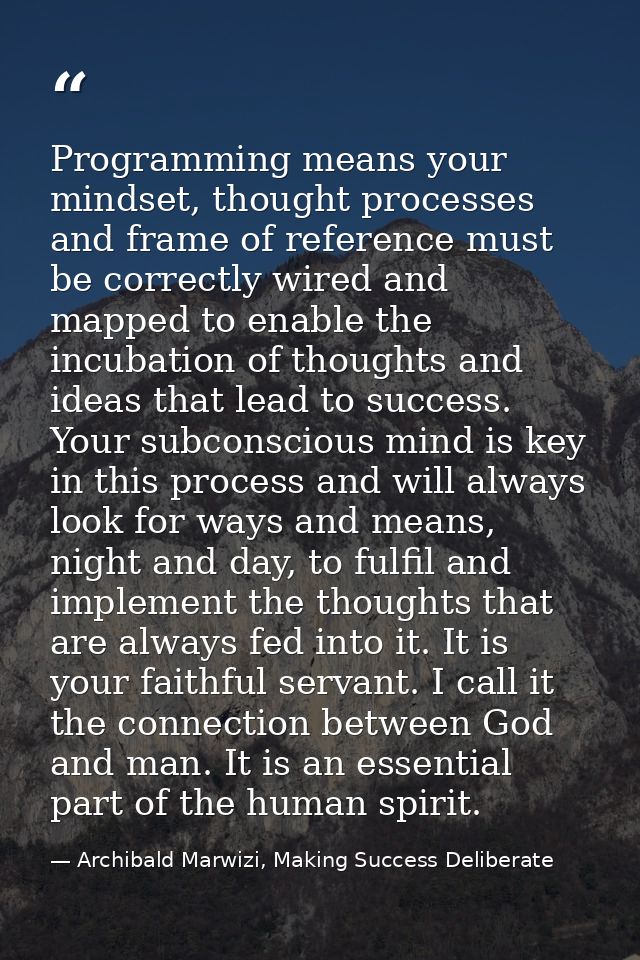 Programming means your mindset, thought processes and frame of reference must be correctly wired and mapped to enable th — Archibald Marwizi, Making Success Deliberate