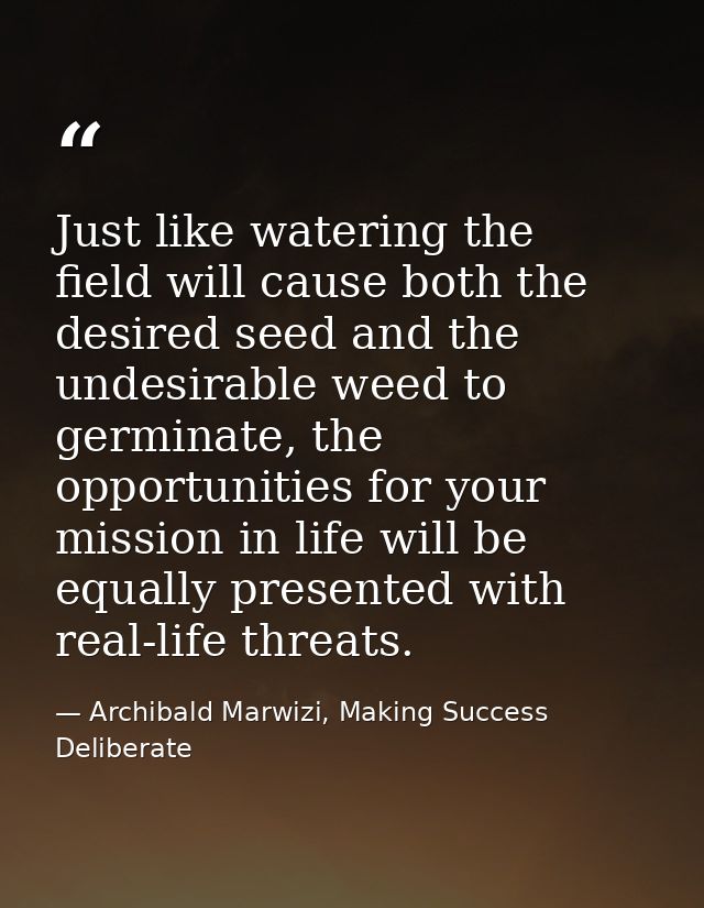 Just like watering the field will cause both the desired seed and the undesirable weed to germinate, the opportunities f — Archibald Marwizi, Making Success Deliberate