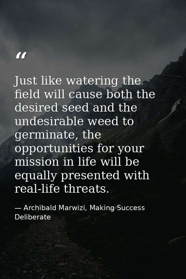 Just like watering the field will cause both the desired seed and the undesirable weed to germinate, the opportunities f — Archibald Marwizi, Making Success Deliberate