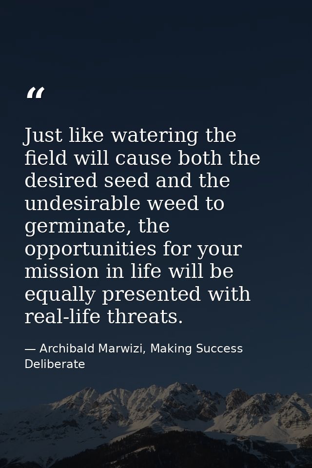 Just like watering the field will cause both the desired seed and the undesirable weed to germinate, the opportunities f — Archibald Marwizi, Making Success Deliberate