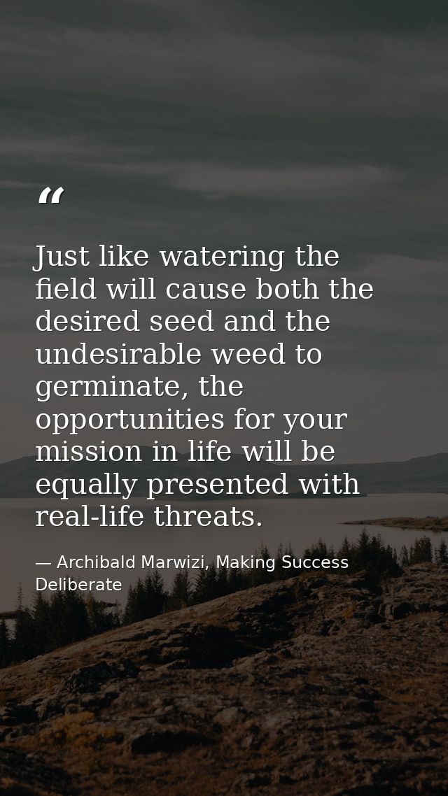 Just like watering the field will cause both the desired seed and the undesirable weed to germinate, the opportunities f — Archibald Marwizi, Making Success Deliberate