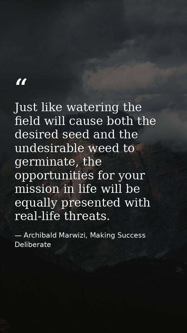 Just like watering the field will cause both the desired seed and the undesirable weed to germinate, the opportunities f — Archibald Marwizi, Making Success Deliberate