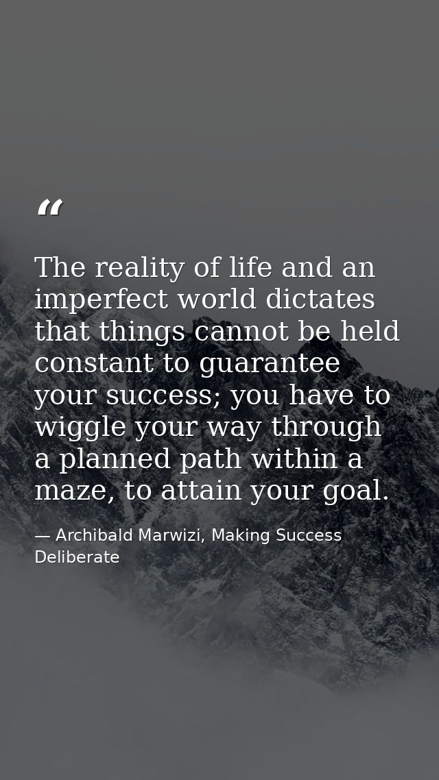 The reality of life and an imperfect world dictates that things cannot be held constant to guarantee your success; you h — Archibald Marwizi, Making Success Deliberate