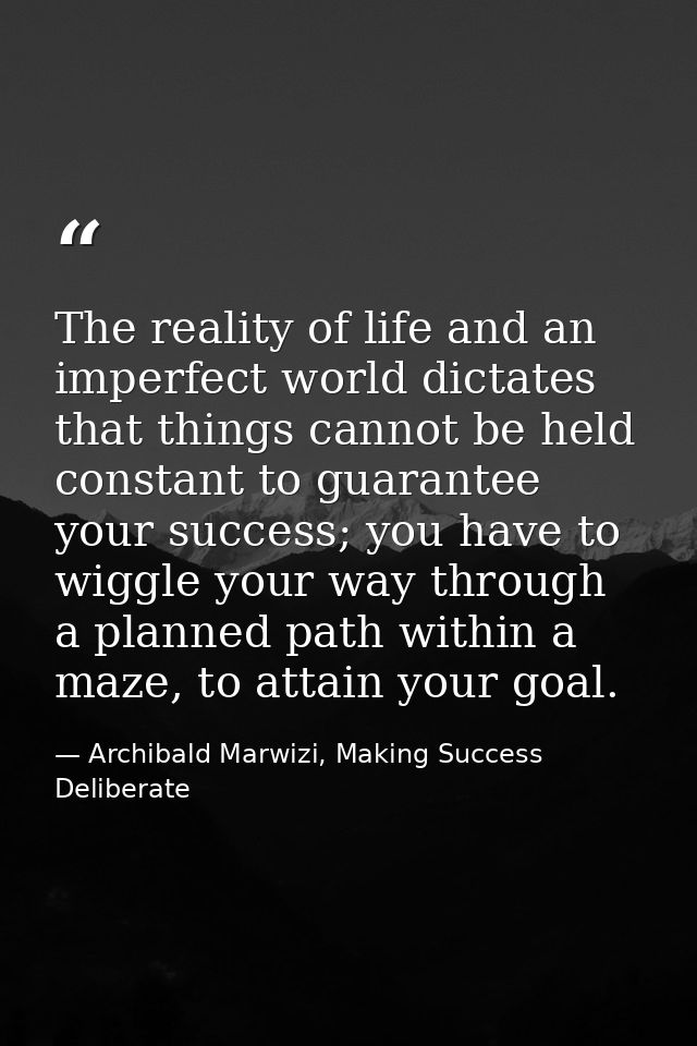 The reality of life and an imperfect world dictates that things cannot be held constant to guarantee your success; you h — Archibald Marwizi, Making Success Deliberate