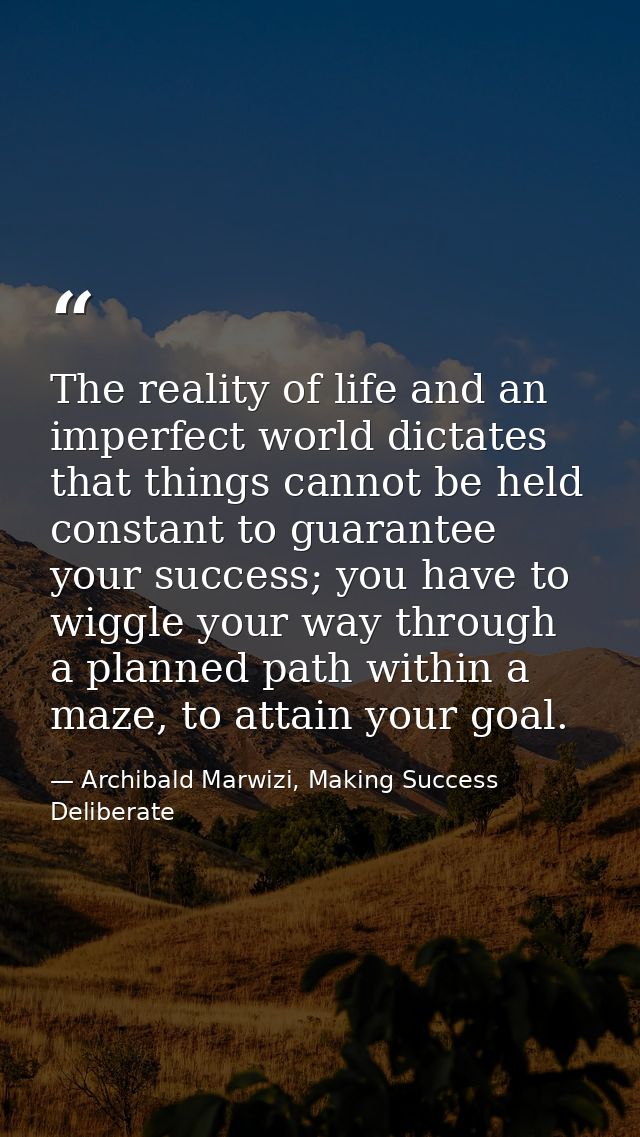 The reality of life and an imperfect world dictates that things cannot be held constant to guarantee your success; you h — Archibald Marwizi, Making Success Deliberate