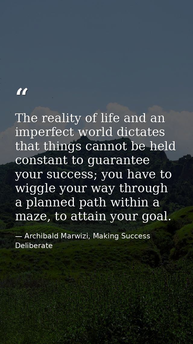 The reality of life and an imperfect world dictates that things cannot be held constant to guarantee your success; you h — Archibald Marwizi, Making Success Deliberate