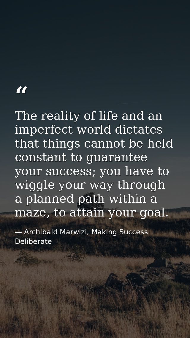 The reality of life and an imperfect world dictates that things cannot be held constant to guarantee your success; you h — Archibald Marwizi, Making Success Deliberate