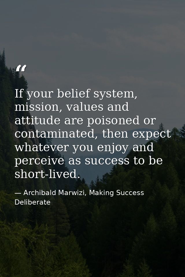 If your belief system, mission, values and attitude are poisoned or contaminated, then expect whatever you enjoy and per — Archibald Marwizi, Making Success Deliberate