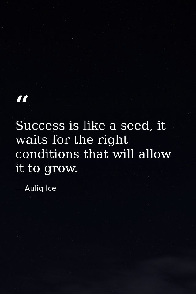Success is like a seed, it waits for the right conditions that will allow it to grow. — Auliq Ice