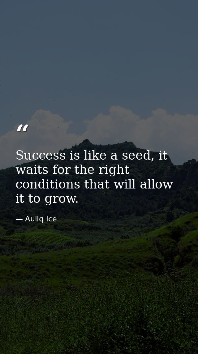 Success is like a seed, it waits for the right conditions that will allow it to grow. — Auliq Ice
