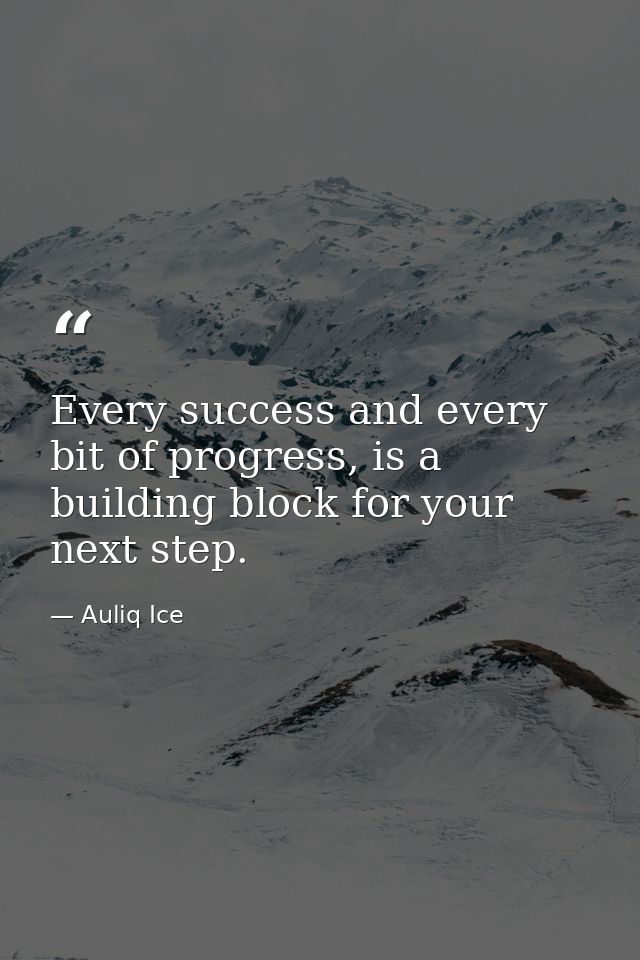Every success and every bit of progress, is a building block for your next step. — Auliq Ice