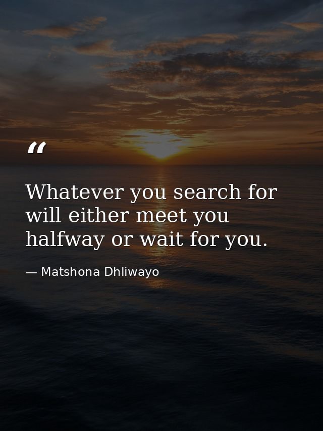 Whatever you search for will either meet you halfway or wait for you. — Matshona Dhliwayo