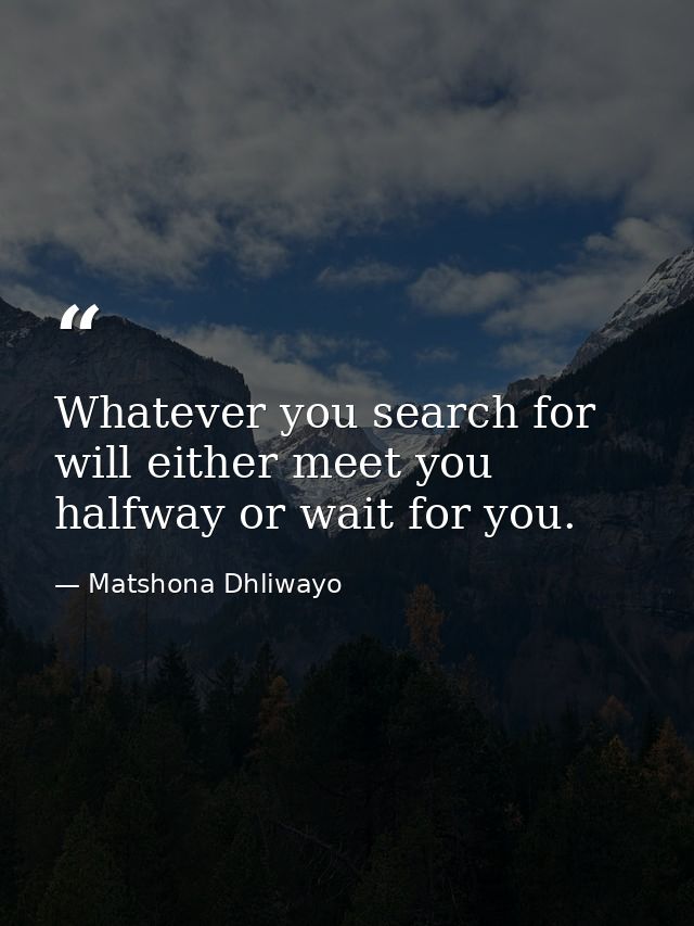 Whatever you search for will either meet you halfway or wait for you. — Matshona Dhliwayo