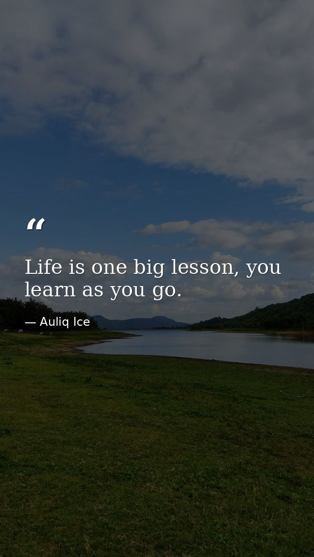 Life is one big lesson, you learn as you go. — Auliq Ice