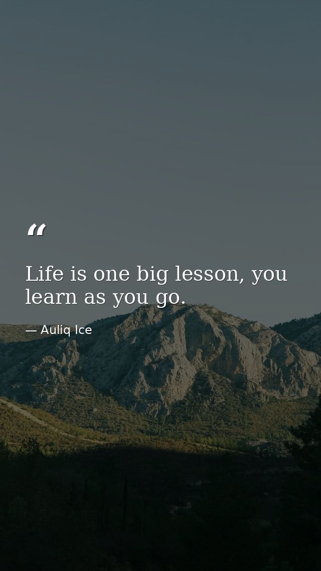 Life is one big lesson, you learn as you go. — Auliq Ice
