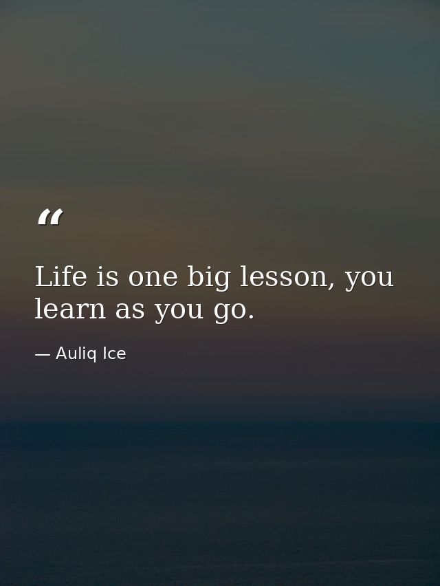 Life is one big lesson, you learn as you go. — Auliq Ice