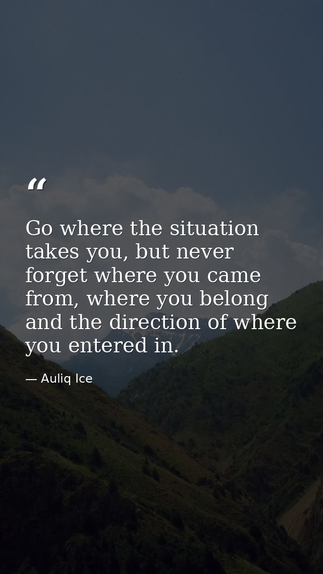 Go where the situation takes you, but never forget where you came from, where you belong and the direction of where you  — Auliq Ice