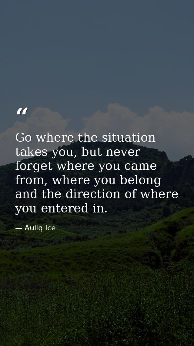 Go where the situation takes you, but never forget where you came from, where you belong and the direction of where you  — Auliq Ice