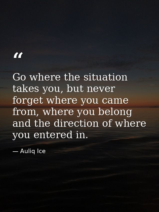 Go where the situation takes you, but never forget where you came from, where you belong and the direction of where you  — Auliq Ice